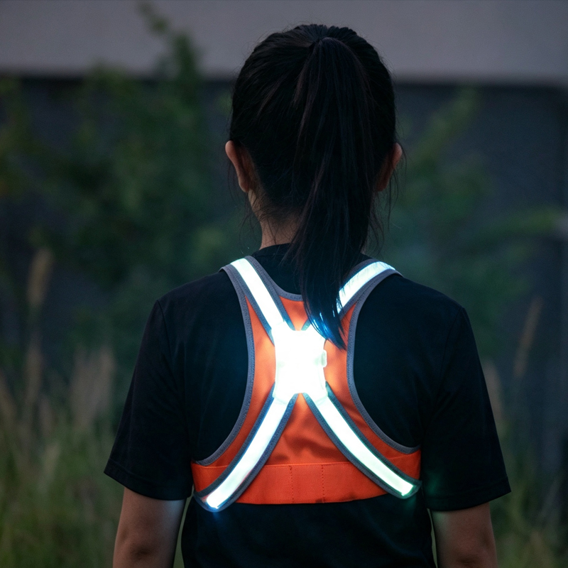 Glow Dog Harness
